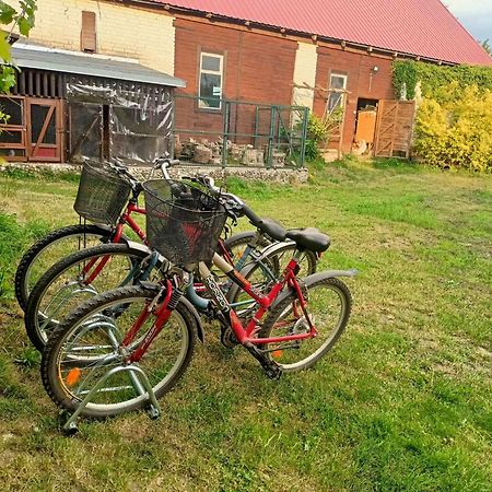 Malinowy Gaj - Agroturystyka Z Alpakami I Innymi Zwierzetami Swietajno  Екстериор снимка