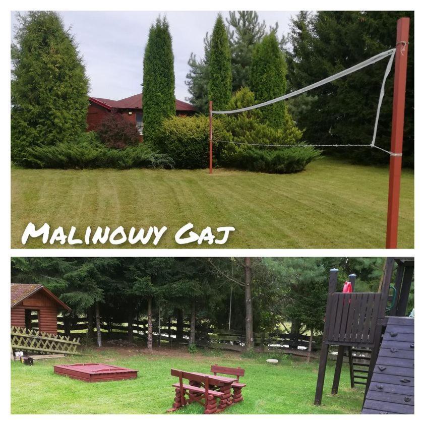 Malinowy Gaj - Agroturystyka Z Alpakami I Innymi Zwierzetami Swietajno  Екстериор снимка