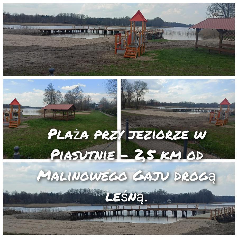 Malinowy Gaj - Agroturystyka Z Alpakami I Innymi Zwierzetami Swietajno  Екстериор снимка