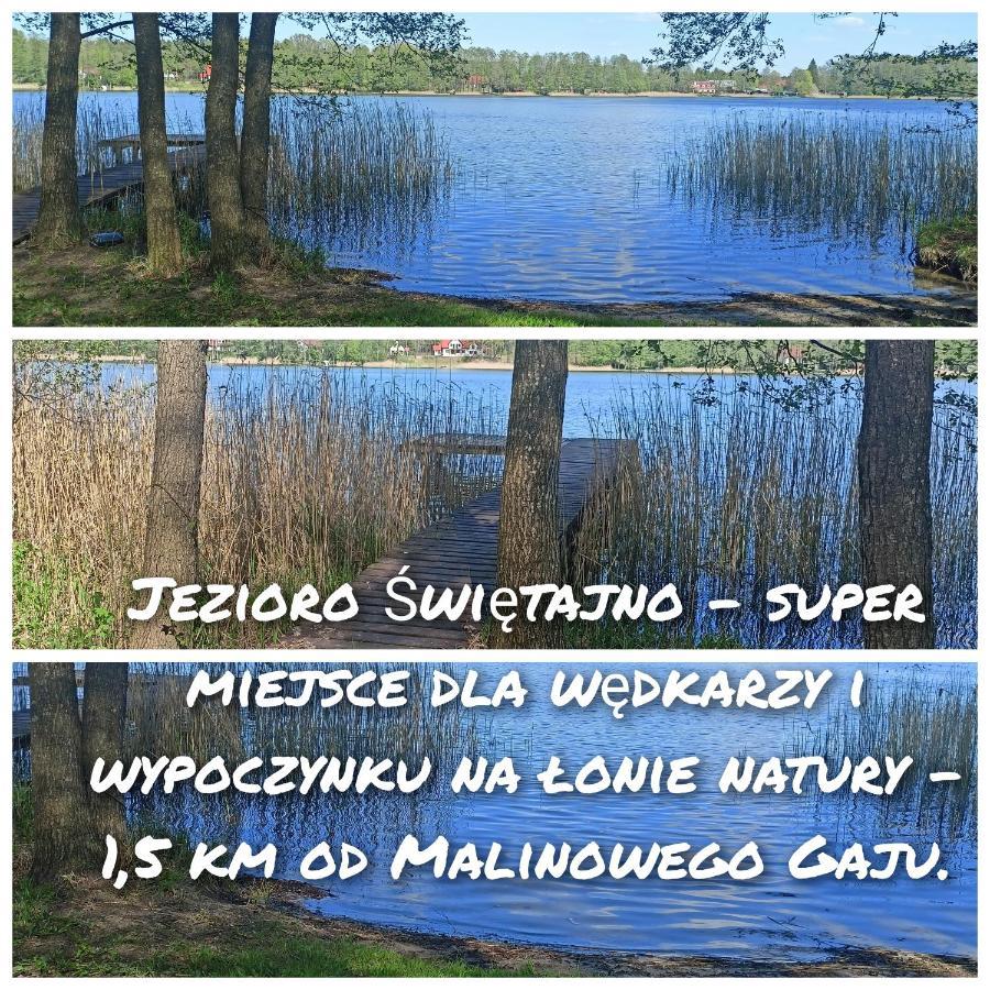 Malinowy Gaj - Agroturystyka Z Alpakami I Innymi Zwierzetami Swietajno  Екстериор снимка