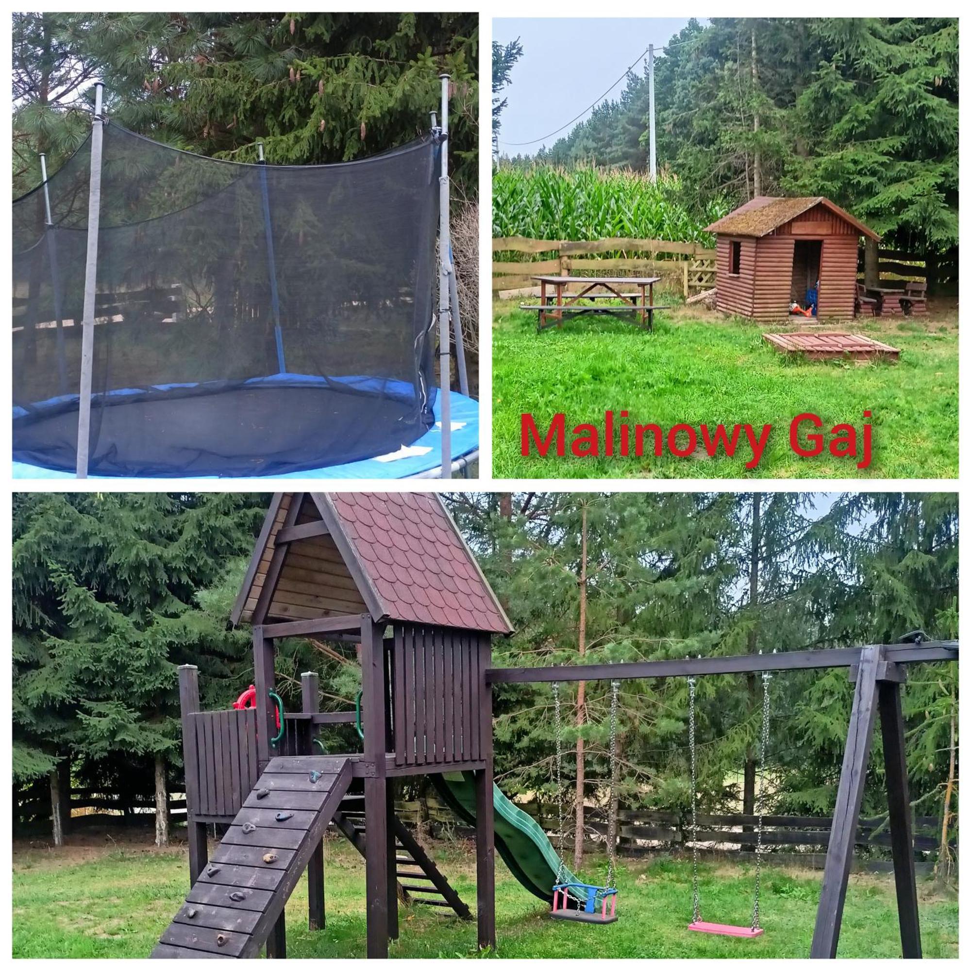Malinowy Gaj - Agroturystyka Z Alpakami I Innymi Zwierzetami Swietajno  Екстериор снимка